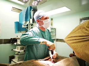 Врачи больницы имени Н.В. Соловьева освоили новый эффективный метод лечения переломов костей таза
